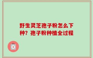 野生灵芝孢子粉怎么下种？孢子粉种植全过程