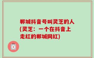 郸城抖音号叫灵芝的人(灵芝：一个在抖音上走红的郸城网红)
