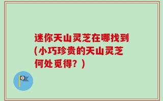 迷你天山灵芝在哪找到(小巧珍贵的天山灵芝何处觅得？)