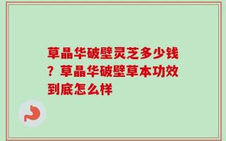 草晶华破壁灵芝多少钱？草晶华破壁草本功效到底怎么样