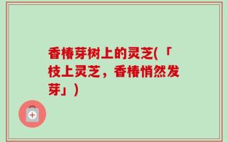 香椿芽树上的灵芝(「枝上灵芝，香椿悄然发芽」)