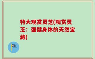 特大观赏灵芝(观赏灵芝：强健身体的天然宝藏)