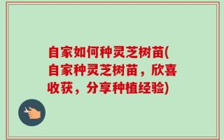 自家如何种灵芝树苗(自家种灵芝树苗，欣喜收获，分享种植经验)