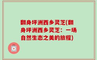 翻身坪洲西乡灵芝(翻身坪洲西乡灵芝：一场自然生态之美的旅程)