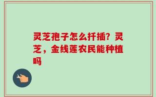 灵芝孢子怎么扦插？灵芝，金线莲农民能种植吗