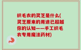 织毛衣的灵芝是什么(灵芝原来的用途已超越你的认知——手工织毛衣专用魔法药材)