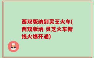 西双版纳到灵芝火车(西双版纳-灵芝火车新线火爆开通)