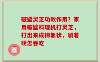 破壁灵芝功效作用？家用破壁料理机打灵芝，打出来成棉絮状，嚼着硬怎吞吃