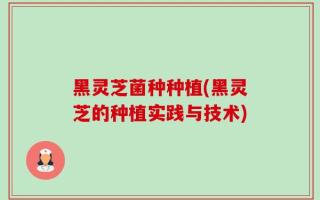 黑灵芝菌种种植(黑灵芝的种植实践与技术)