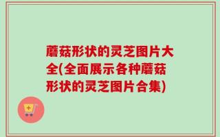 蘑菇形状的灵芝图片大全(全面展示各种蘑菇形状的灵芝图片合集)