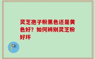 灵芝孢子粉黑色还是黄色好？如何辨别灵芝粉好坏