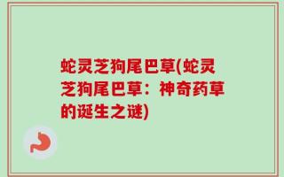 蛇灵芝狗尾巴草(蛇灵芝狗尾巴草：神奇药草的诞生之谜)