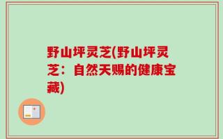 野山坪灵芝(野山坪灵芝：自然天赐的健康宝藏)