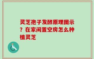 灵芝孢子发酵原理图示？在家闲置空房怎么种植灵芝