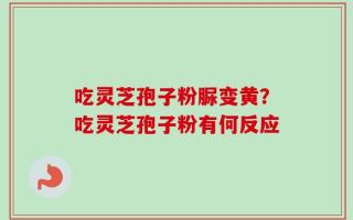 吃灵芝孢子粉脲变黄？吃灵芝孢子粉有何反应