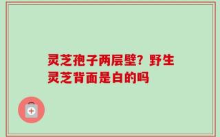 灵芝孢子两层壁？野生灵芝背面是白的吗