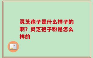 灵芝孢子是什么样子的啊？灵芝孢子粉是怎么样的
