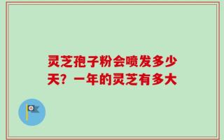 灵芝孢子粉会喷发多少天？一年的灵芝有多大