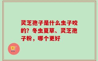 灵芝孢子是什么虫子咬的？冬虫夏草、灵芝孢子粉，哪个更好
