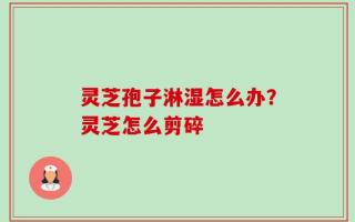 灵芝孢子淋湿怎么办？灵芝怎么剪碎