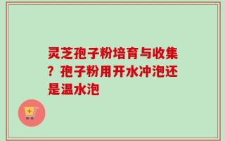 灵芝孢子粉培育与收集？孢子粉用开水冲泡还是温水泡