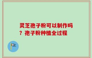 灵芝孢子粉可以制作吗？孢子粉种植全过程