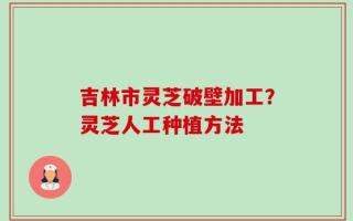 吉林市灵芝破壁加工？灵芝人工种植方法