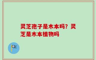 灵芝孢子是木本吗？灵芝是木本植物吗