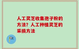 人工灵芝收集孢子粉的方法？人工种植灵芝的采摘方法