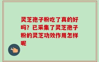 灵芝孢子粉吃了真的好吗？已采集了灵芝孢子粉的灵芝功效作用怎样呢