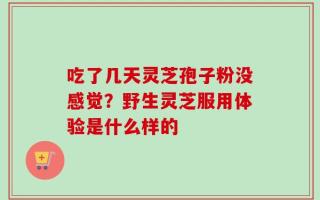 吃了几天灵芝孢子粉没感觉？野生灵芝服用体验是什么样的