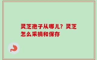 灵芝孢子从哪儿？灵芝怎么采摘和保存