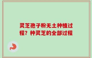 灵芝孢子粉无土种植过程？种灵芝的全部过程