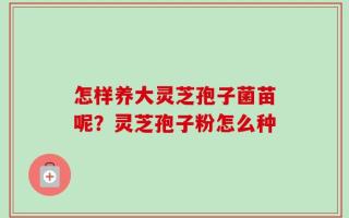 怎样养大灵芝孢子菌苗呢？灵芝孢子粉怎么种