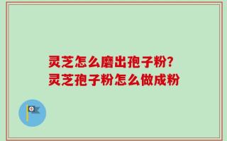 灵芝怎么磨出孢子粉？灵芝孢子粉怎么做成粉