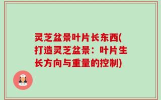 灵芝盆景叶片长东西(打造灵芝盆景：叶片生长方向与重量的控制)
