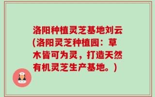 洛阳种植灵芝基地刘云(洛阳灵芝种植园：草木皆可为灵，打造天然有机灵芝生产基地。)