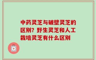 中药灵芝与破壁灵芝的区别？野生灵芝和人工栽培灵芝有什么区别
