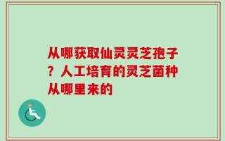 从哪获取仙灵灵芝孢子？人工培育的灵芝菌种从哪里来的
