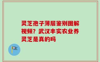 灵芝孢子薄层鉴别图解视频？武汉丰实农业养灵芝是真的吗
