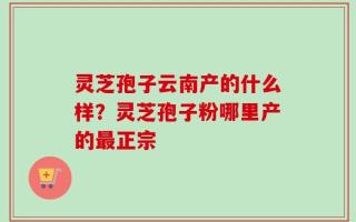 灵芝孢子云南产的什么样？灵芝孢子粉哪里产的最正宗