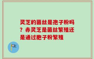 灵芝的菌丝是孢子粉吗？赤灵芝是菌丝繁殖还是通过胞子粉繁殖