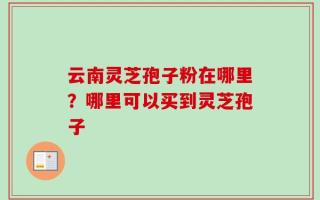 云南灵芝孢子粉在哪里？哪里可以买到灵芝孢子
