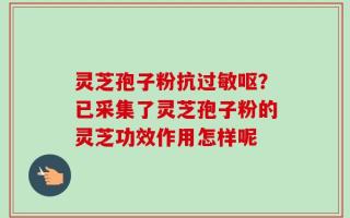 灵芝孢子粉抗过敏呕？已采集了灵芝孢子粉的灵芝功效作用怎样呢