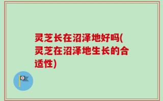 灵芝长在沼泽地好吗(灵芝在沼泽地生长的合适性)
