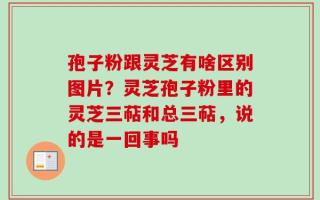 孢子粉跟灵芝有啥区别图片？灵芝孢子粉里的灵芝三萜和总三萜，说的是一回事吗