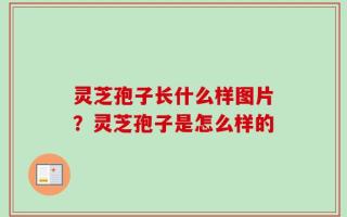 灵芝孢子长什么样图片？灵芝孢子是怎么样的