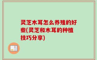 灵芝木耳怎么养殖的好些(灵芝和木耳的种植技巧分享)