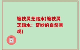 缠枝灵芝踏水(缠枝灵芝踏水：奇妙的自然景观)