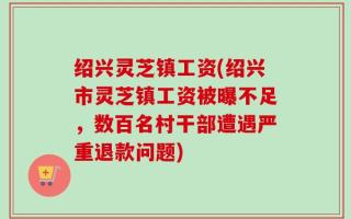 绍兴灵芝镇工资(绍兴市灵芝镇工资被曝不足，数百名村干部遭遇严重退款问题)